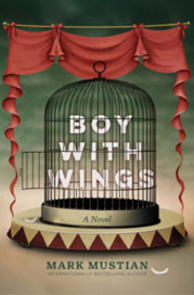 Boy With Wings